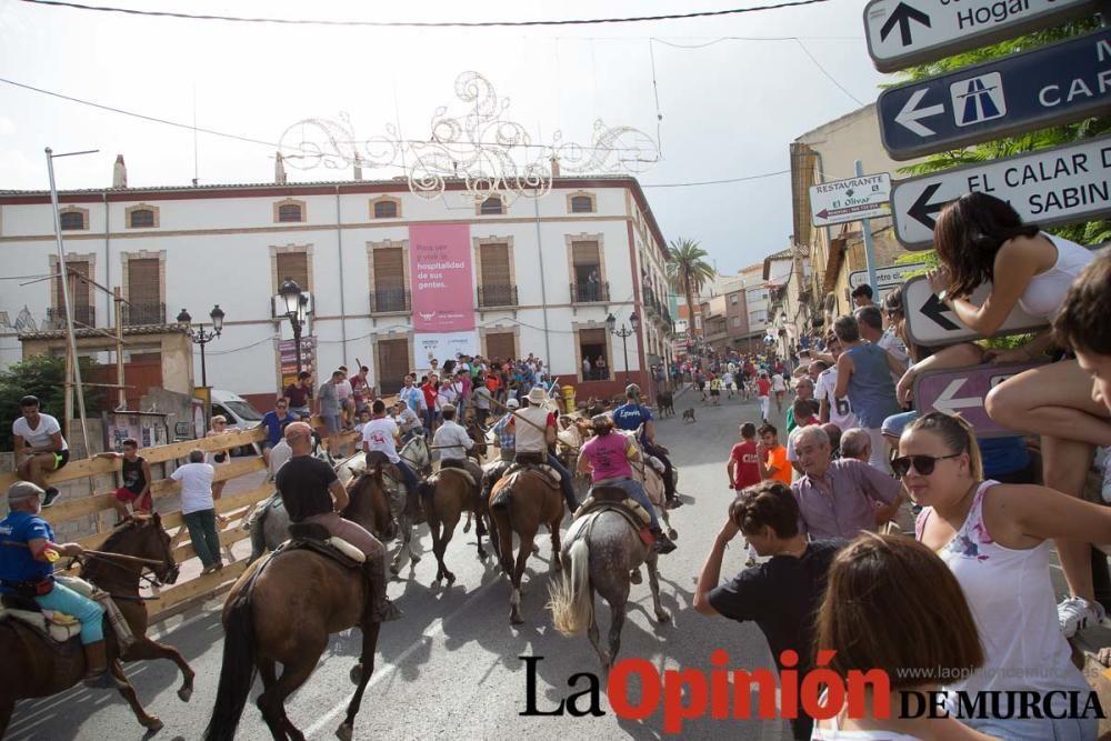 Séptimo encierro en Moratalla