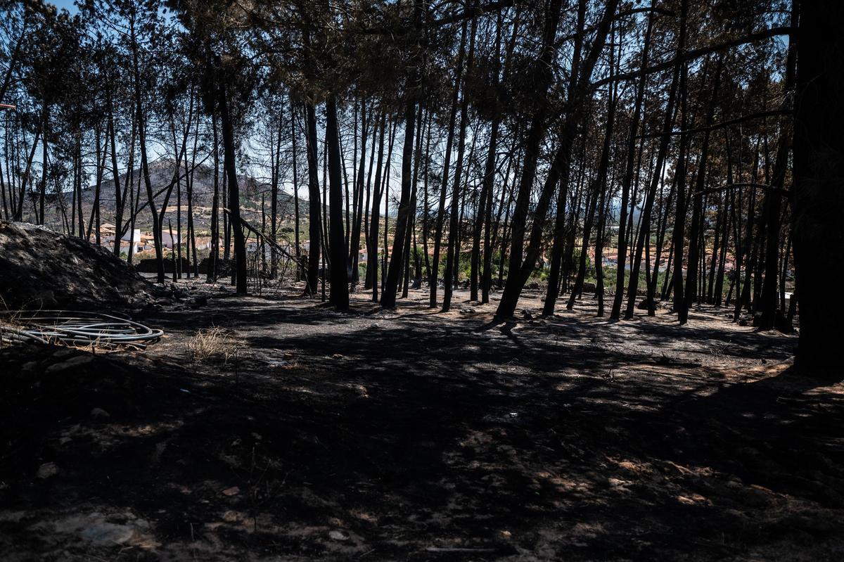 Fotogalería | Casas de Millán: un día después del incendio Fotogalería | Casas de Millán: un día después del incendio