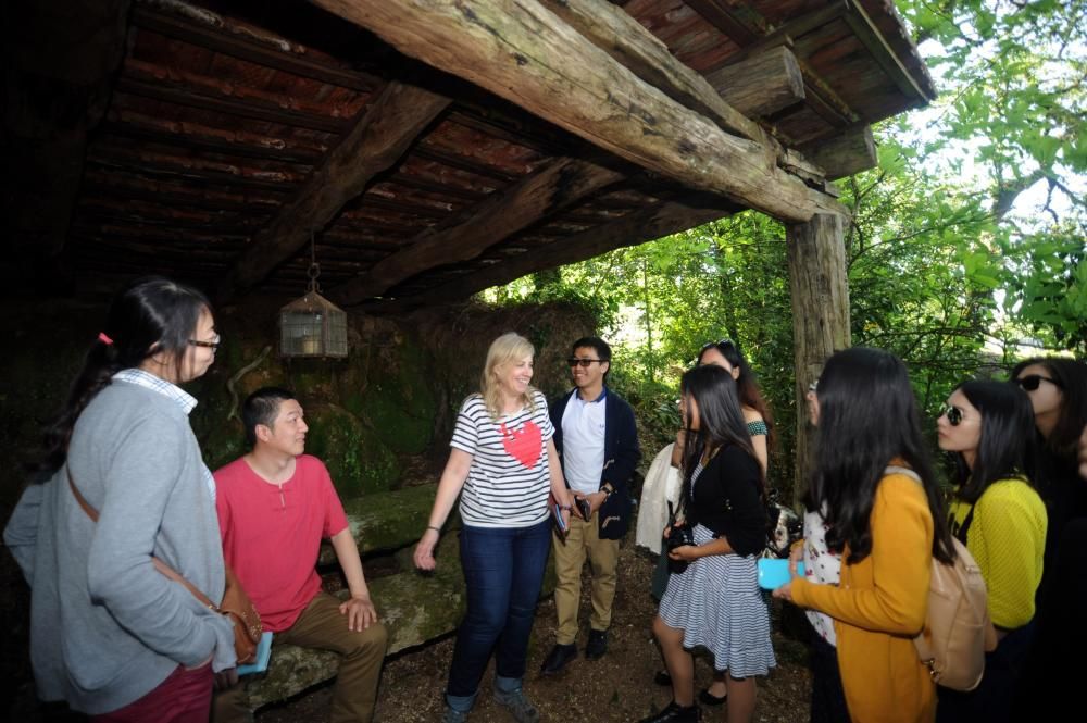 Estudiantes chinos visitan el jardín botánico de Q