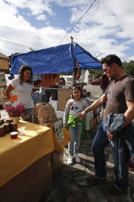 La Seronda en Illas