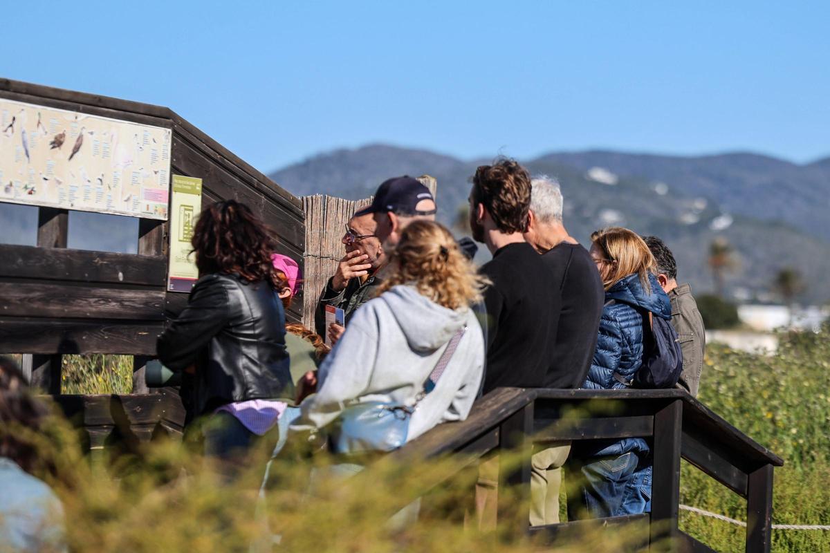 Las imágenes de la jornada en el observatorio de aves en ses Salines de Ibiza