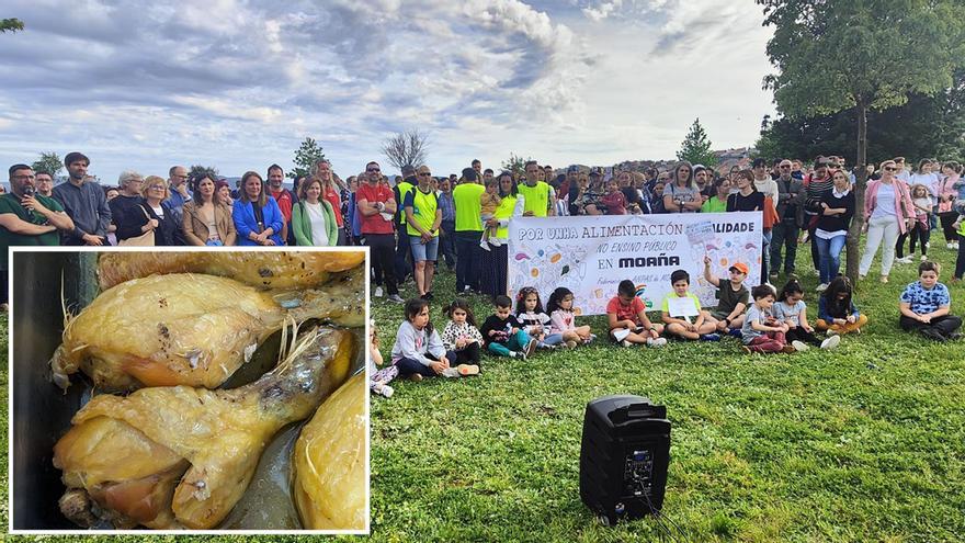 Las Anpas vuelven a denunciar los menús escolares de Moaña: “Sirven pollo con plumas y gusanos en la lechuga”