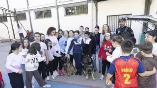 El Ayuntamiento de Caravaca fomenta el respeto y la tenencia responsable de animales desde la infancia