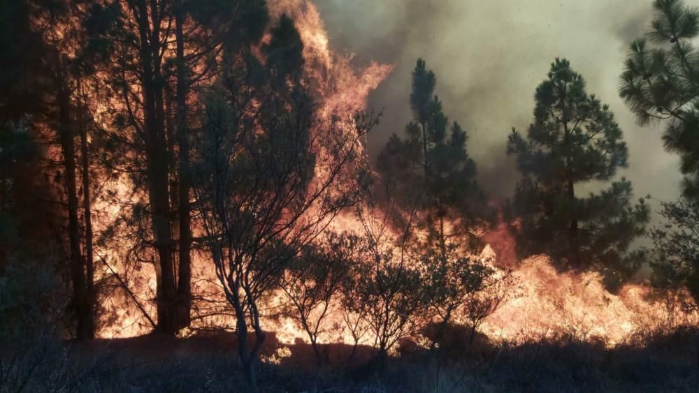 Incendio en Garafía