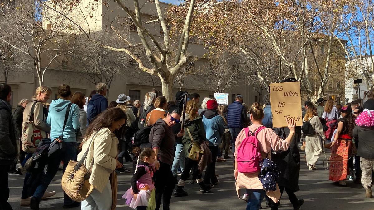 Manifestación contra la exigencia del certificado covid en Palma