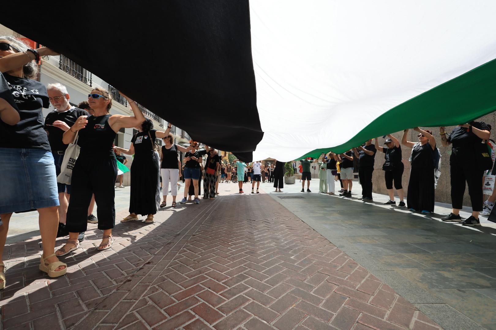 Manifestación a favor del pueblo palestino y la paz en Castellón