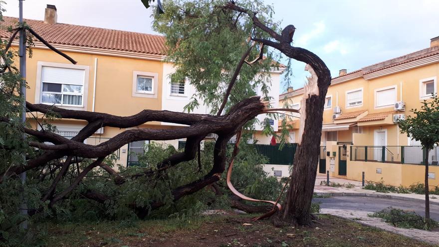 Inundaciones y destrozos durante el episodio de lluvias más intenso de la historia de la Región de Murcia