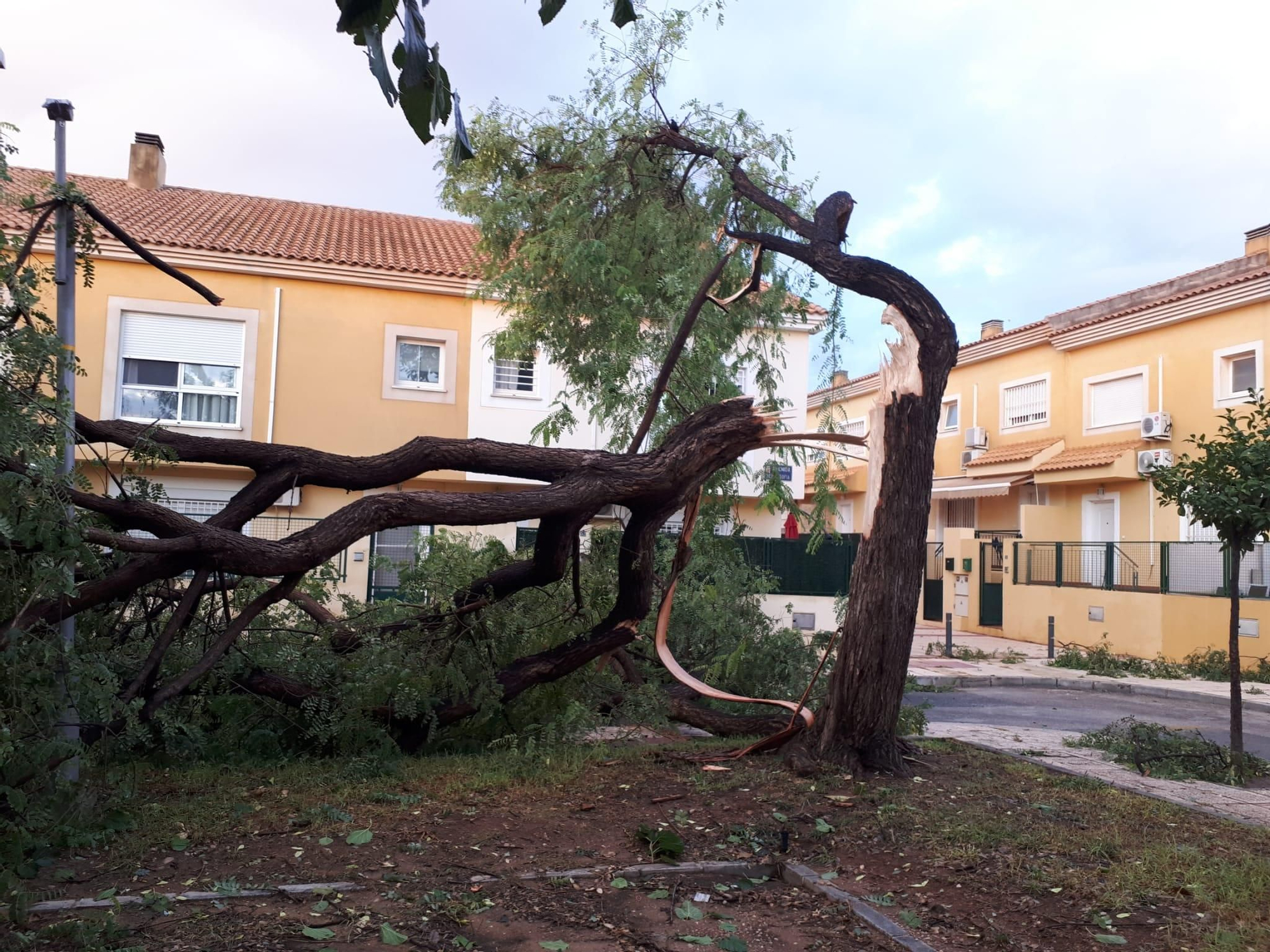 Las imágenes de los destrozos que deja el temporal en Murcia