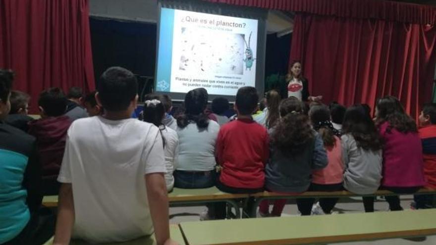 Coronavirus en Córdoba: La Unidad de Cultura Científica de la UCO se pone a disposición de los centros escolares