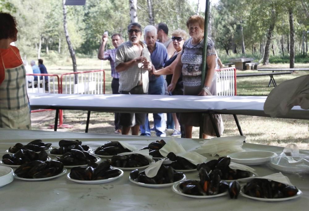 El parque forestal de Candeán celebra su gran romería, que espera recibir hasta 5.000 visitantes