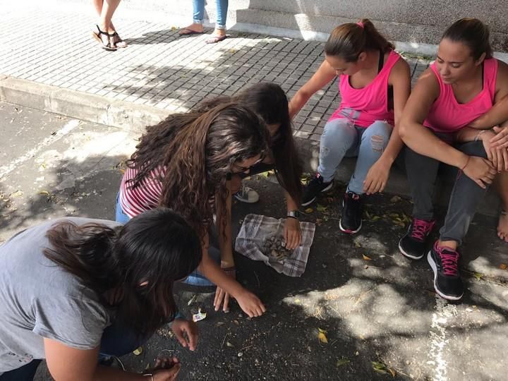 Alumnos del IES Valle de Los Nueve viajan a África