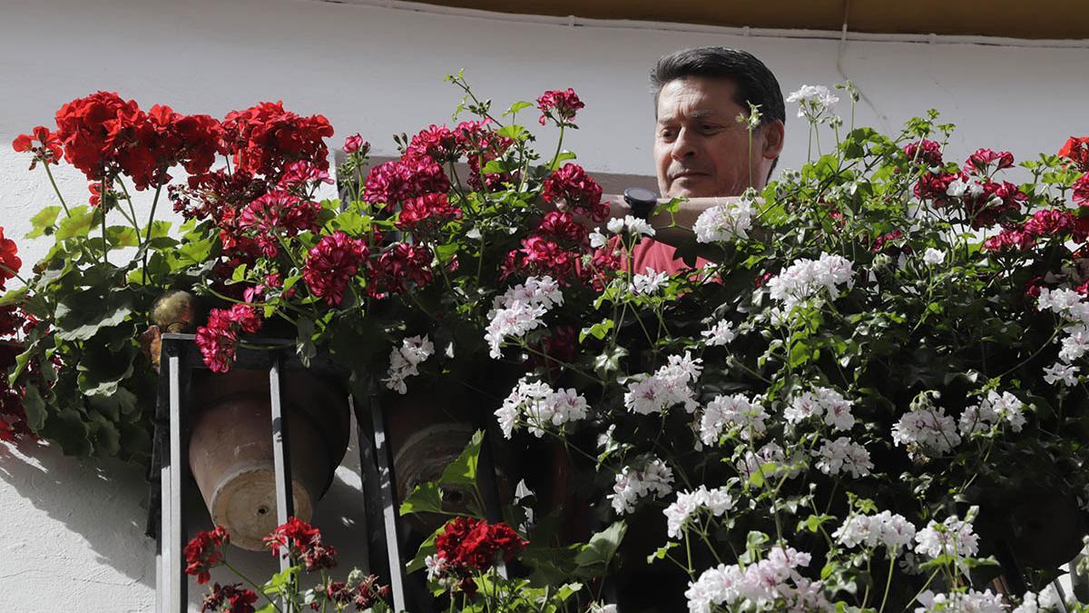 El concurso de rejas y balcones de Córdoba, en imágenes