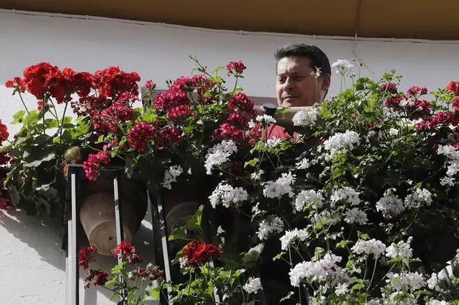 El concurso de rejas y balcones de Córdoba, en imágenes