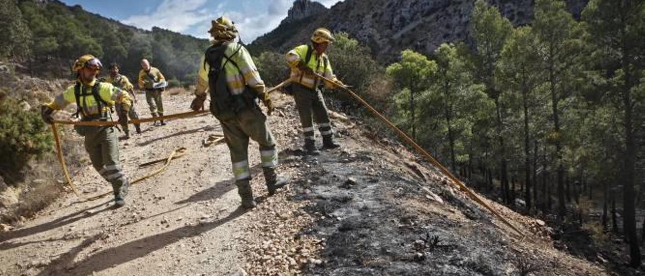 Bomberos forestales trabajando en el incendio registrado este pasado verano en Serrella.