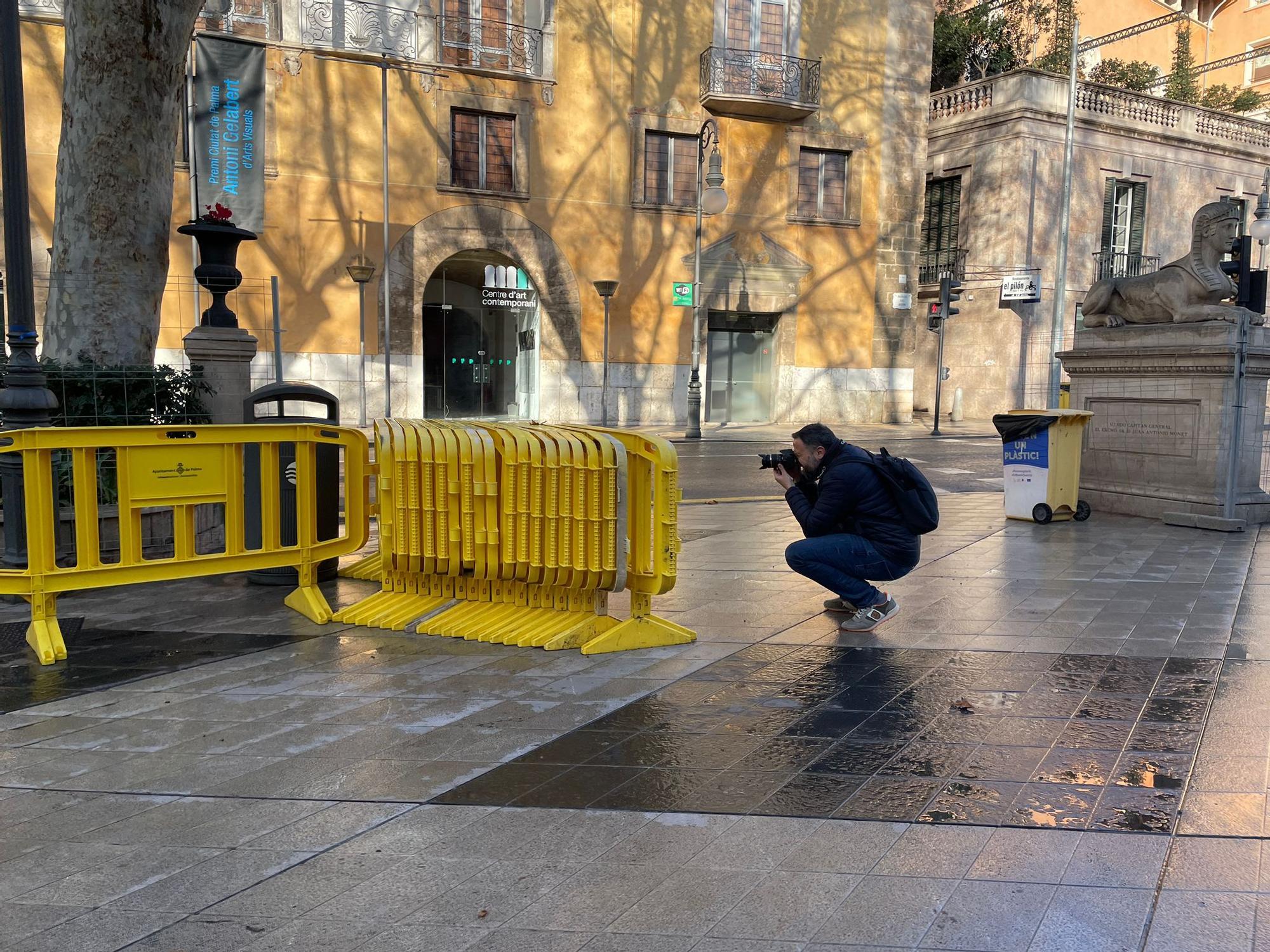 Las mejores fotos de la Palma Fotográfica en la que participaron más de 200 personas