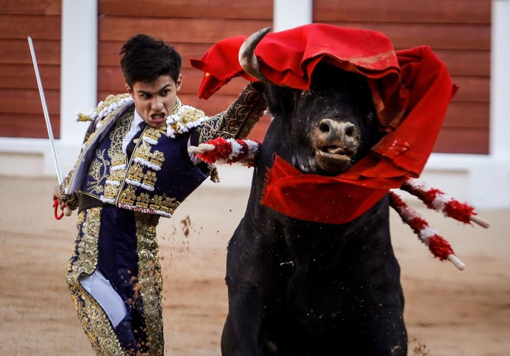 Novillada en El Bibio en la Feria de Begoña 2018.