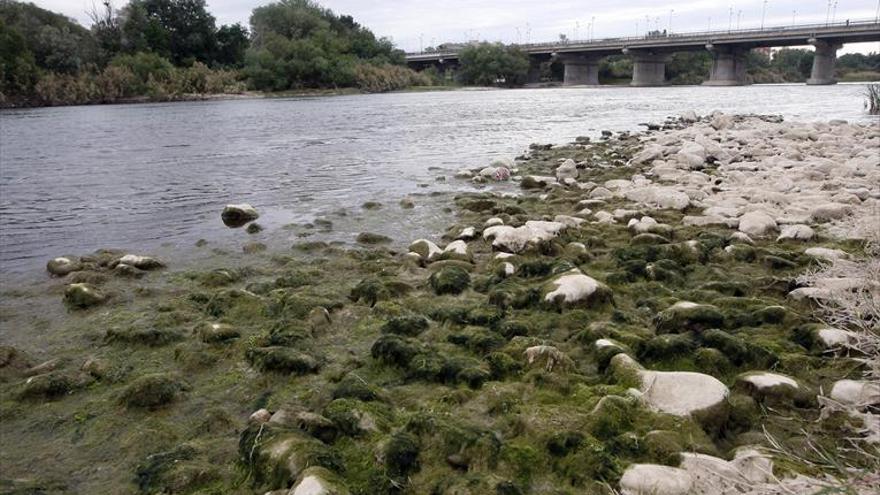 Los embalses están al nivel más bajo del último lustro