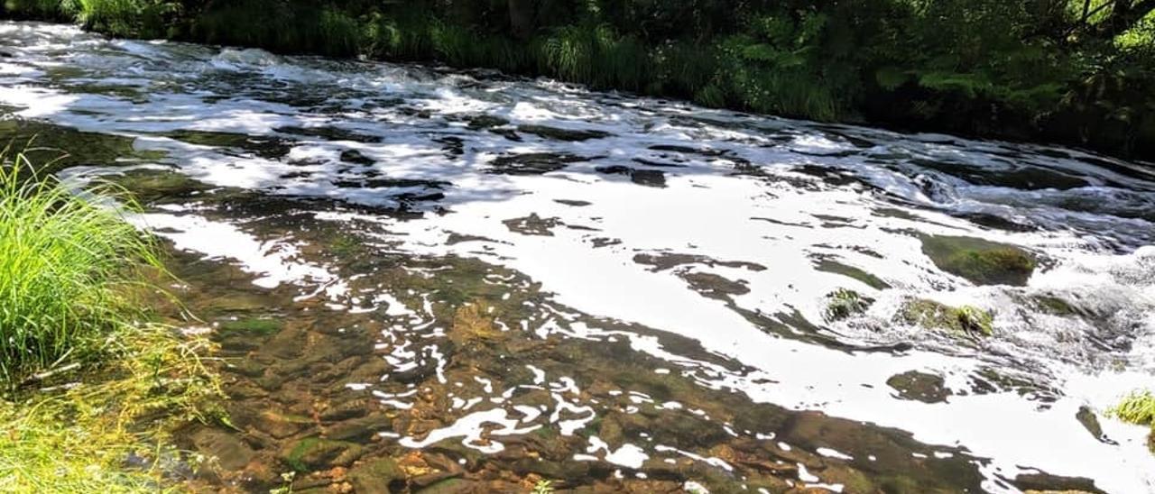 O río Deza, ao seu paso por Ponte Taboada, o 3 de xullo. // A.P.