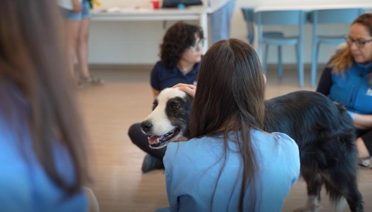 Una usuària d'Althaia amb el Bruc