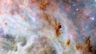 La Nasa alucina con la tarántula que se ha podido ver en el espacio