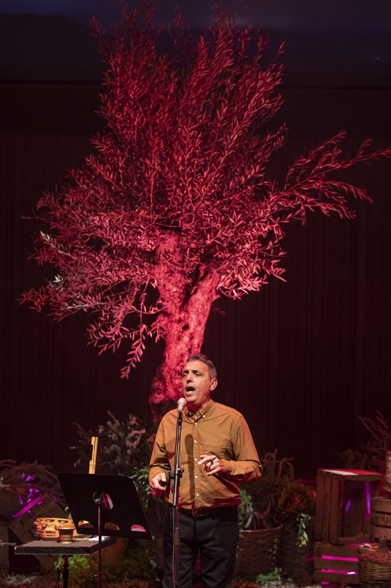 Concierto de Pep Gimeno "Botifarra" en el Palau de les Arts de València.