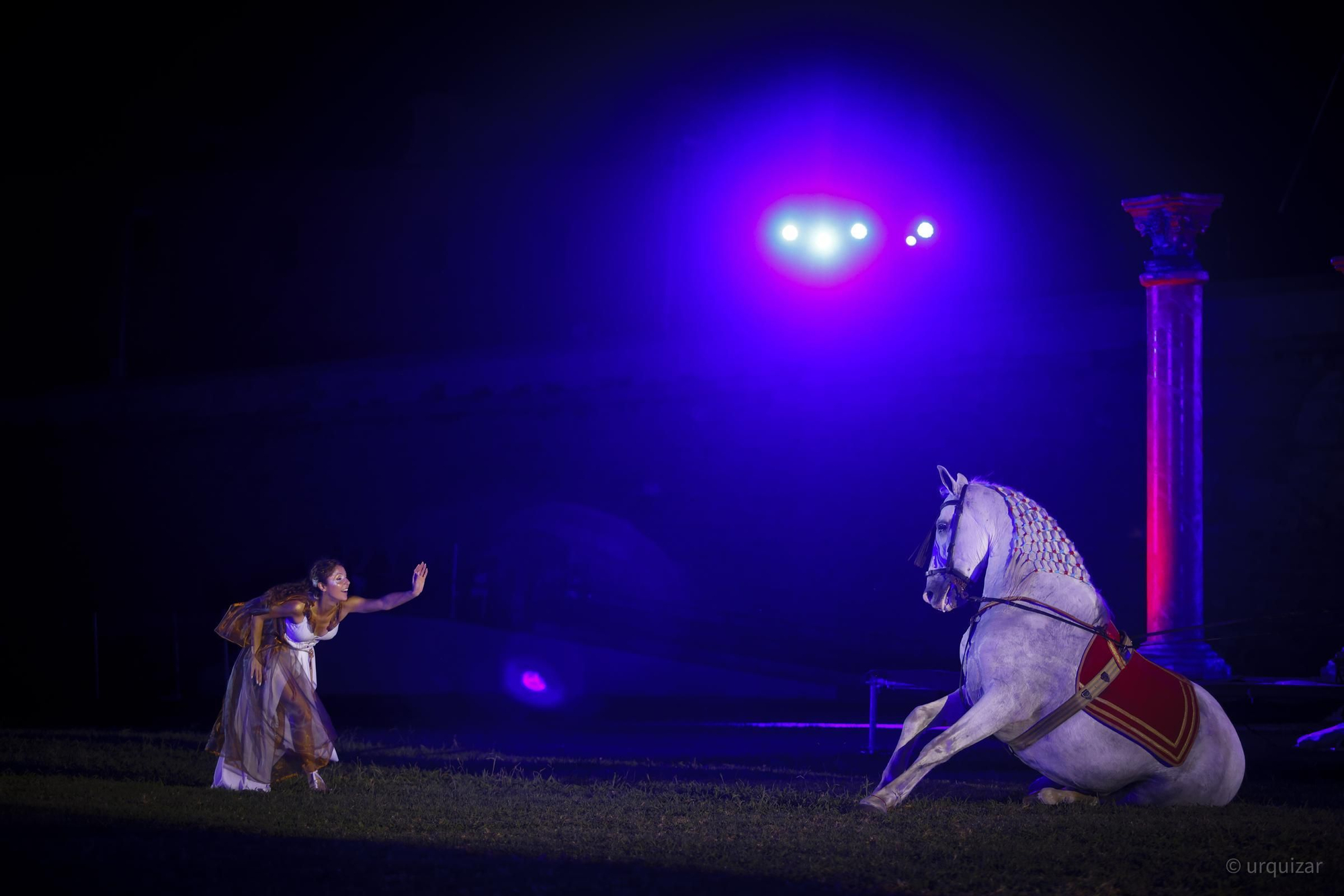 El Circo Romano vuelve por la puerta grande en Cartagena