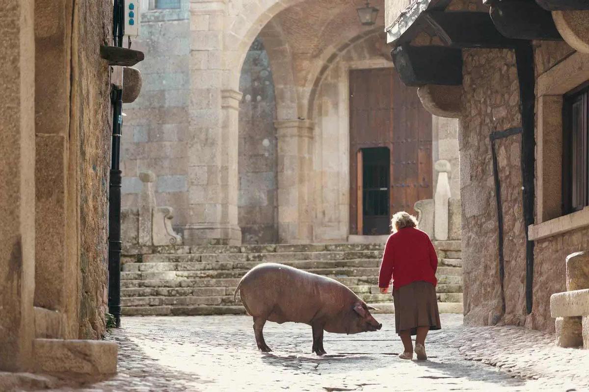 Galería | Descubre La Alberca, la joya salmantina a un paso de Las Hurdes