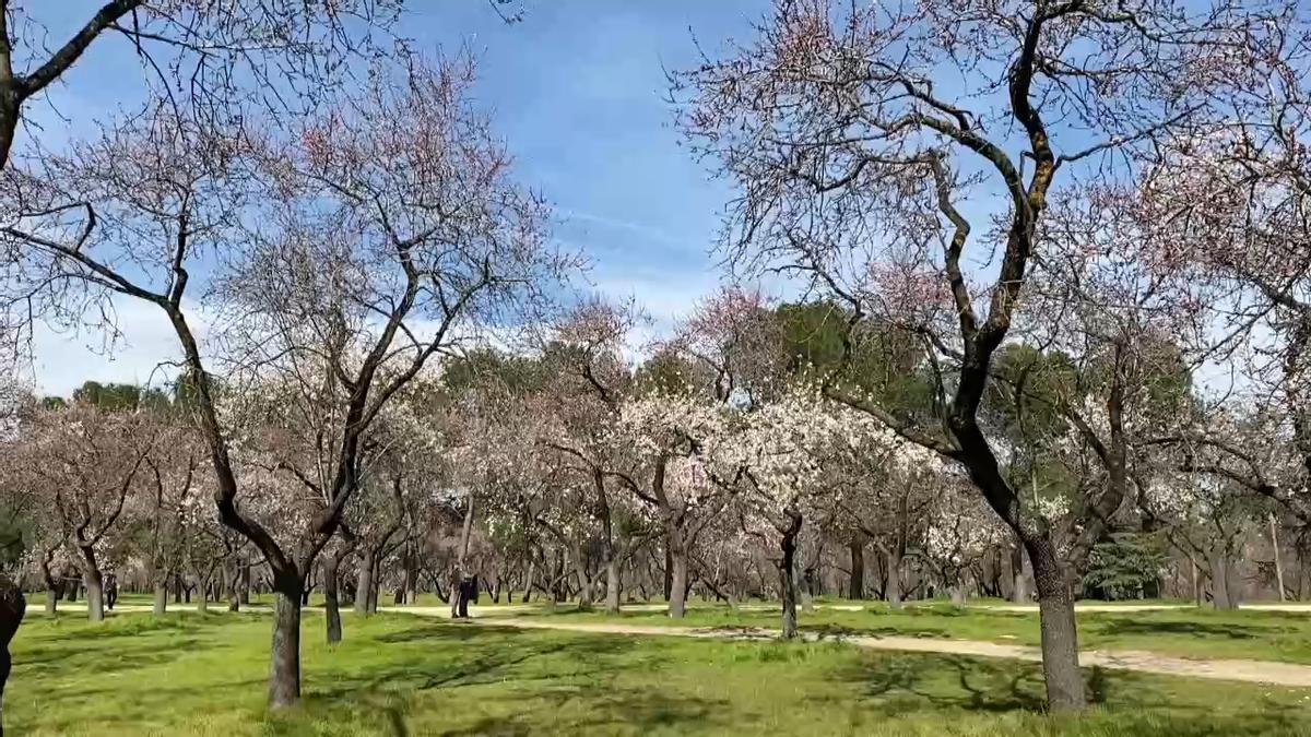 Parque Quinta de los Molinos.