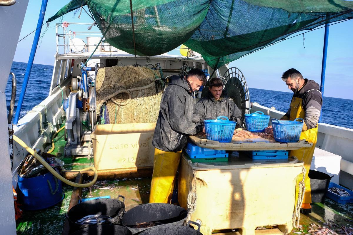 Pescadores de Santa Pola seleccionando las capturas en el barco.