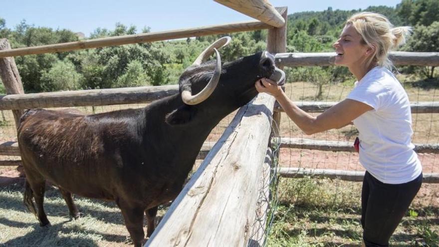 La vaca Margarita, a punto de salvarse