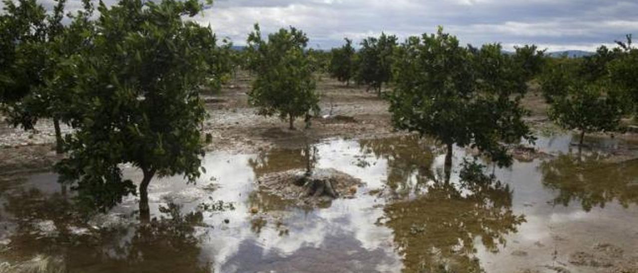 La falta de lluvia obliga a los agricultores de la Ribera a regar como si fuera verano