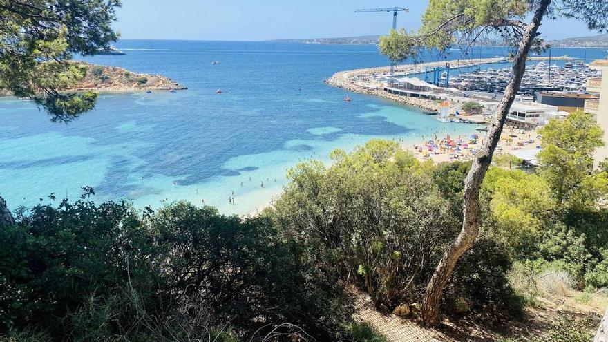 Nochmal Strandwetter: 26 Grad und Sonne satt auf Mallorca