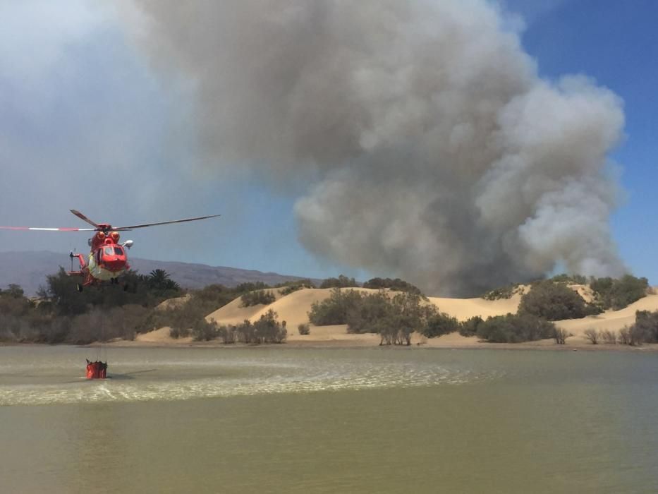 Incendio en las Dunas y Charca de Maspalomas