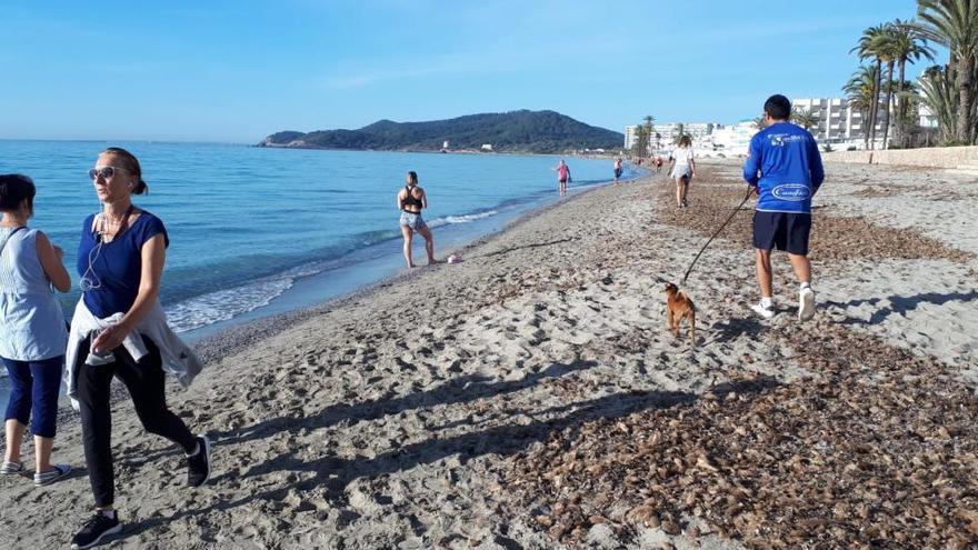 «Las playas seguirán estando ahí; paciencia»