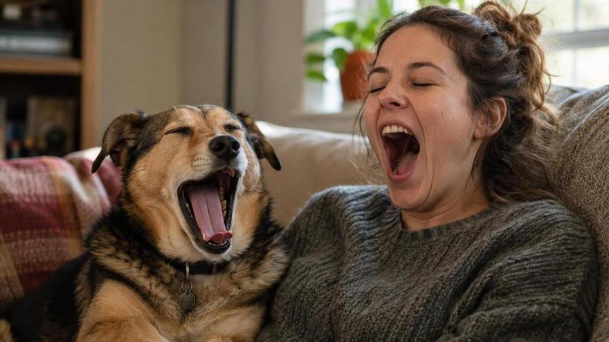 Los veterinarios coinciden: los perros que bostezan cuando l
