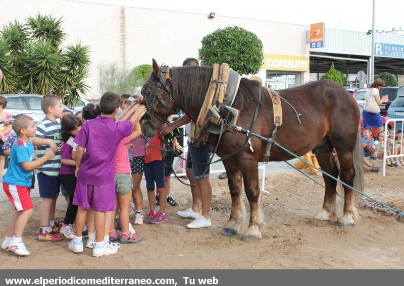 GALERÍA DE FOTOS - Tradición y novedades en la Fira Agrícola de Nules