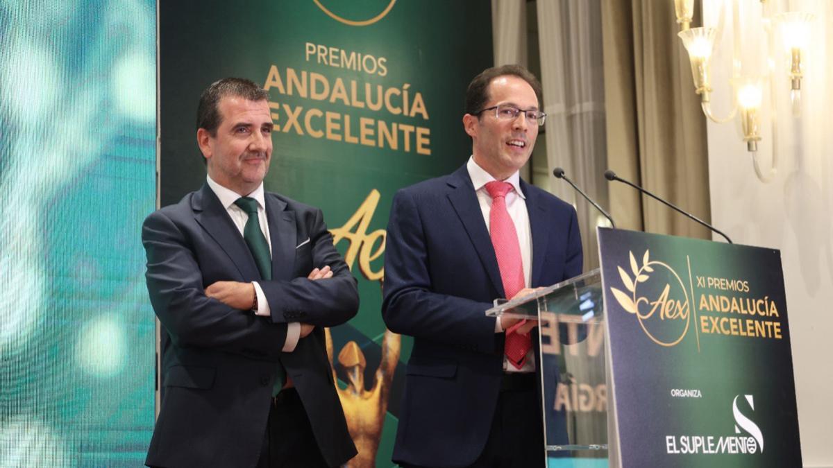 Lorenzo Martínez, Director de Desarrollo de Negocio de Geointegral, recoge el galardón Andalucía Excelente 2024 en la categoría Energía Renovable