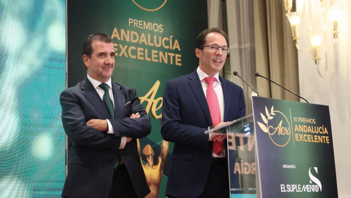 Lorenzo Martínez, Director de Desarrollo de Negocio de Geointegral, recoge el galardón Andalucía Excelente 2024 en la categoría Energía Renovable