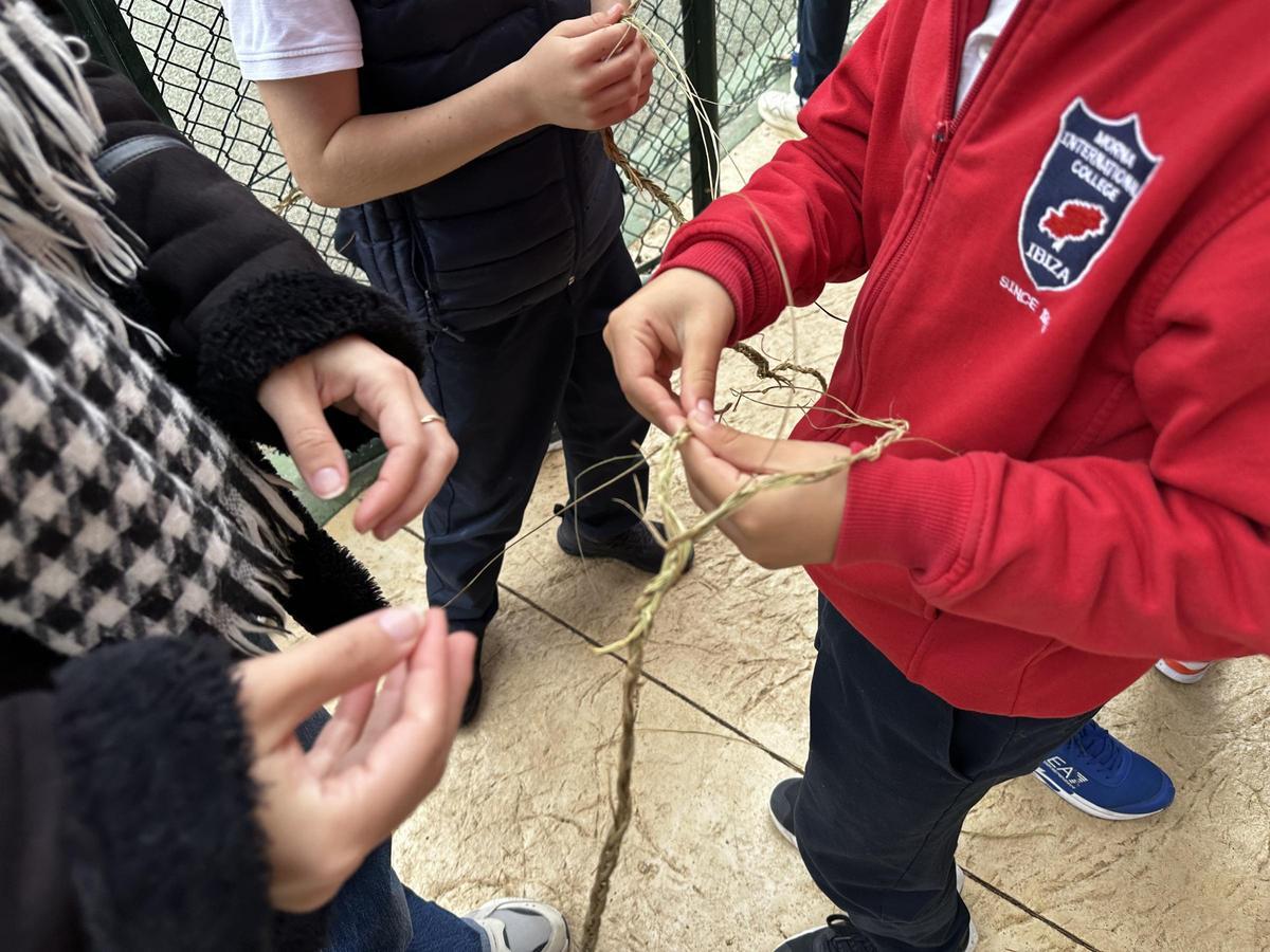 Los alumnos trenzaron esparto para practicar 'tir amb bassetja'.