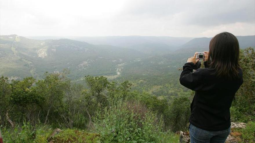 La Junta licita un proyecto para evitar incendios forestales en el Parque