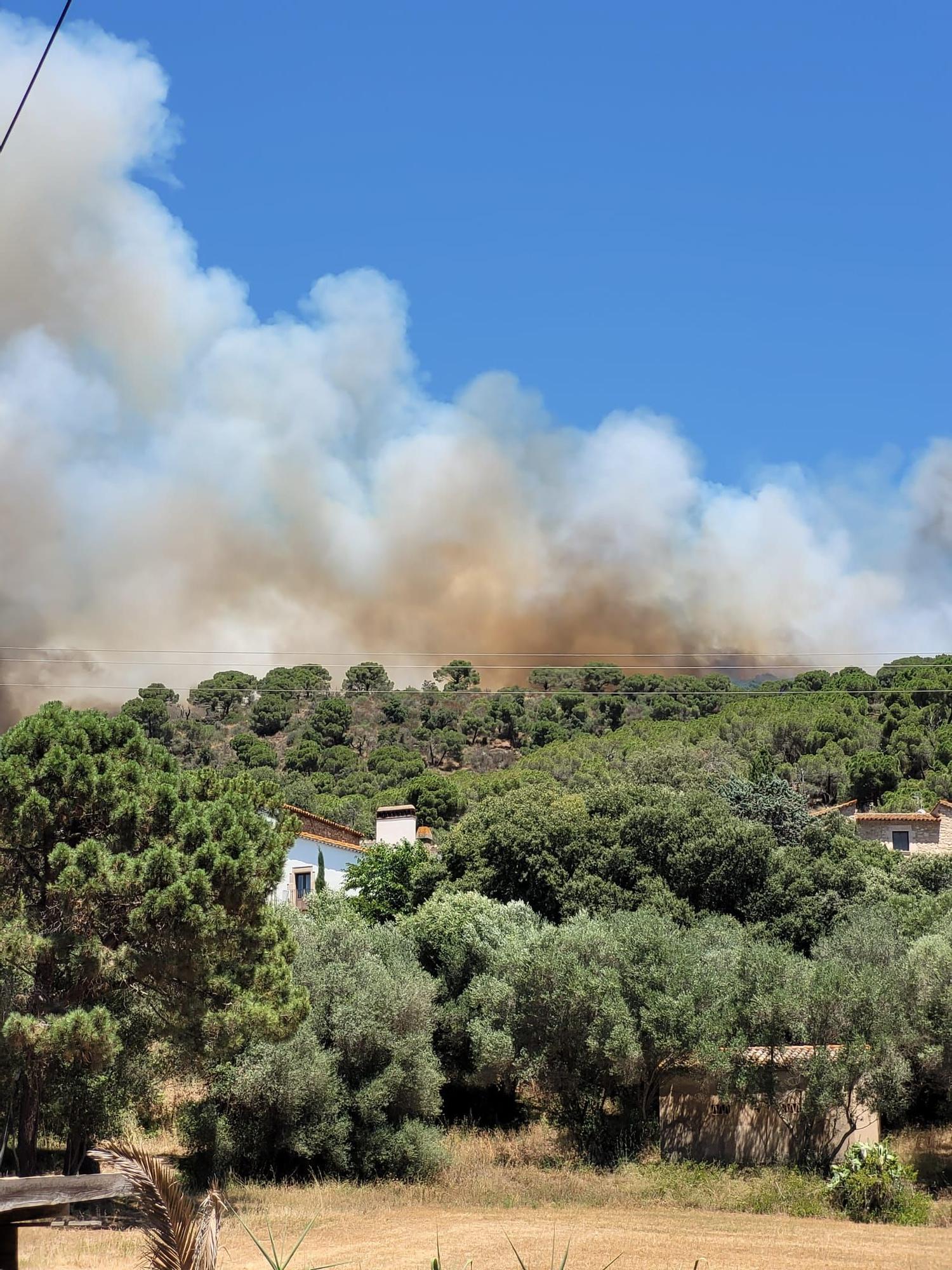 Incendi forestal a Castell d'Aro