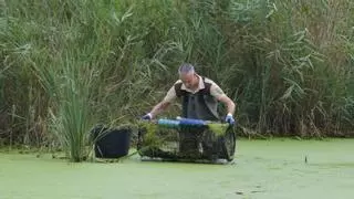 A la captura de las tortugas invasoras de Florida en la desembocadura del Millars