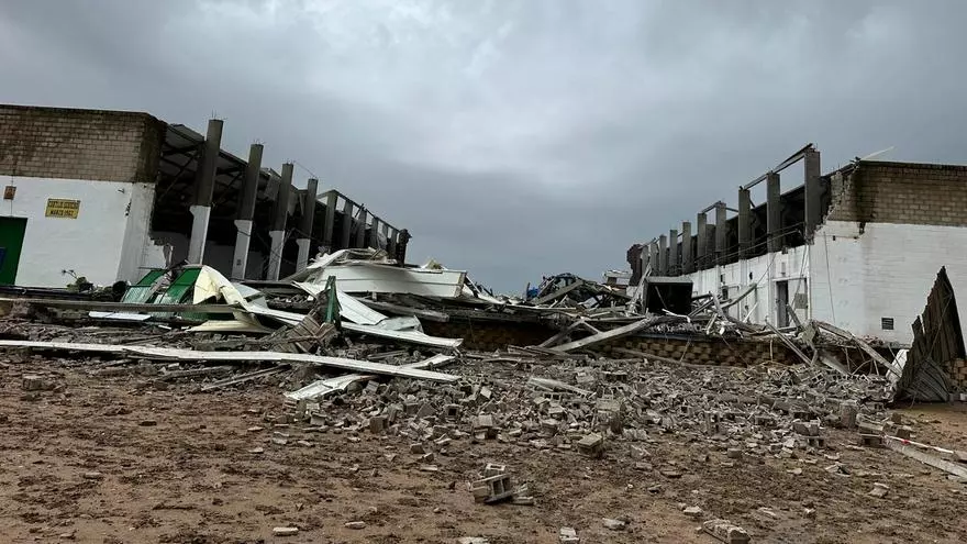 Tres fallecidos por el derrumbe de una nave agrícola en Sevilla por el viento