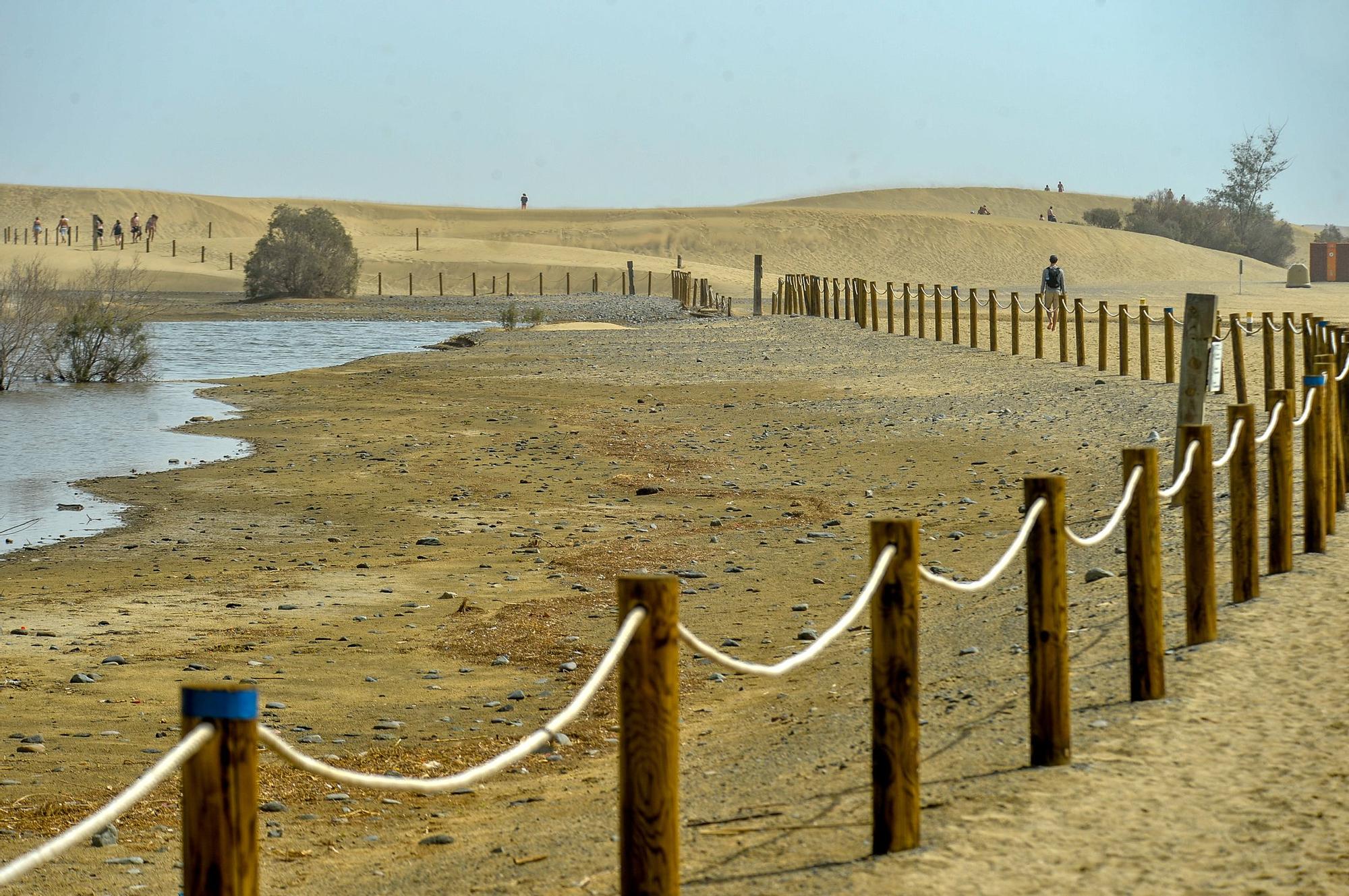 La Charca de Maspalomas después del ciclón Hermine