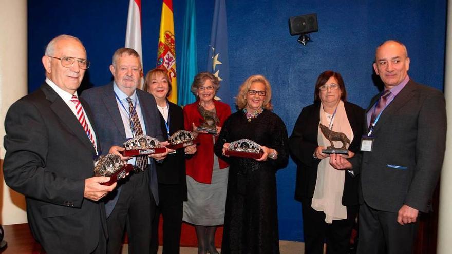 Por la izquierda, los premiados José Luis Fernández, Javier Alperi, Elena Piñera, Nélida Gómez, María Teresa Sión, Carmen Navarrete y Tomás García, con sus galardones, en el recinto ferial Luis Adaro.