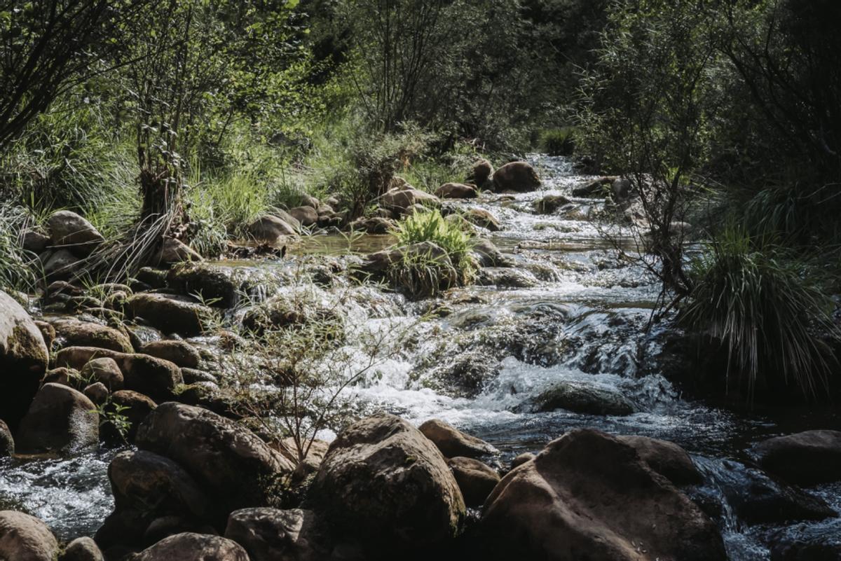 Frame de 'MUGA – When She Stops Flowing, So Will We'.