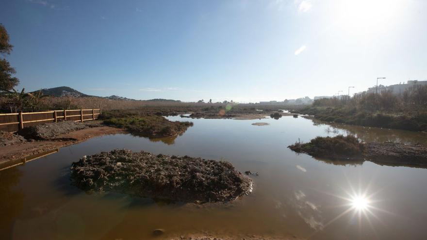 Vista de la recién creada zona de observación de aves en ses Feixes. | VICENT MARÍ