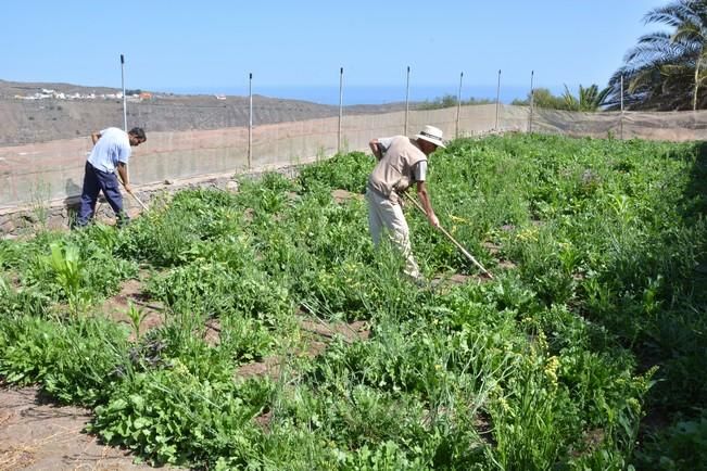 FINCA EL VISO