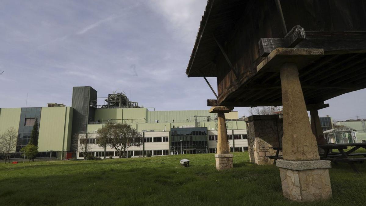 Parte de les instalaciones del complexu fabril y de servicios de Tamón. | Ricardo Solís