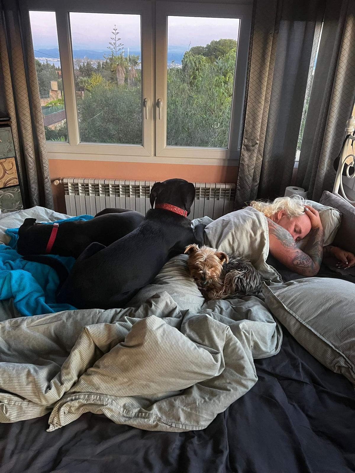 Können auch brav sein: die Haustiere von Caro und Andreas Robens.